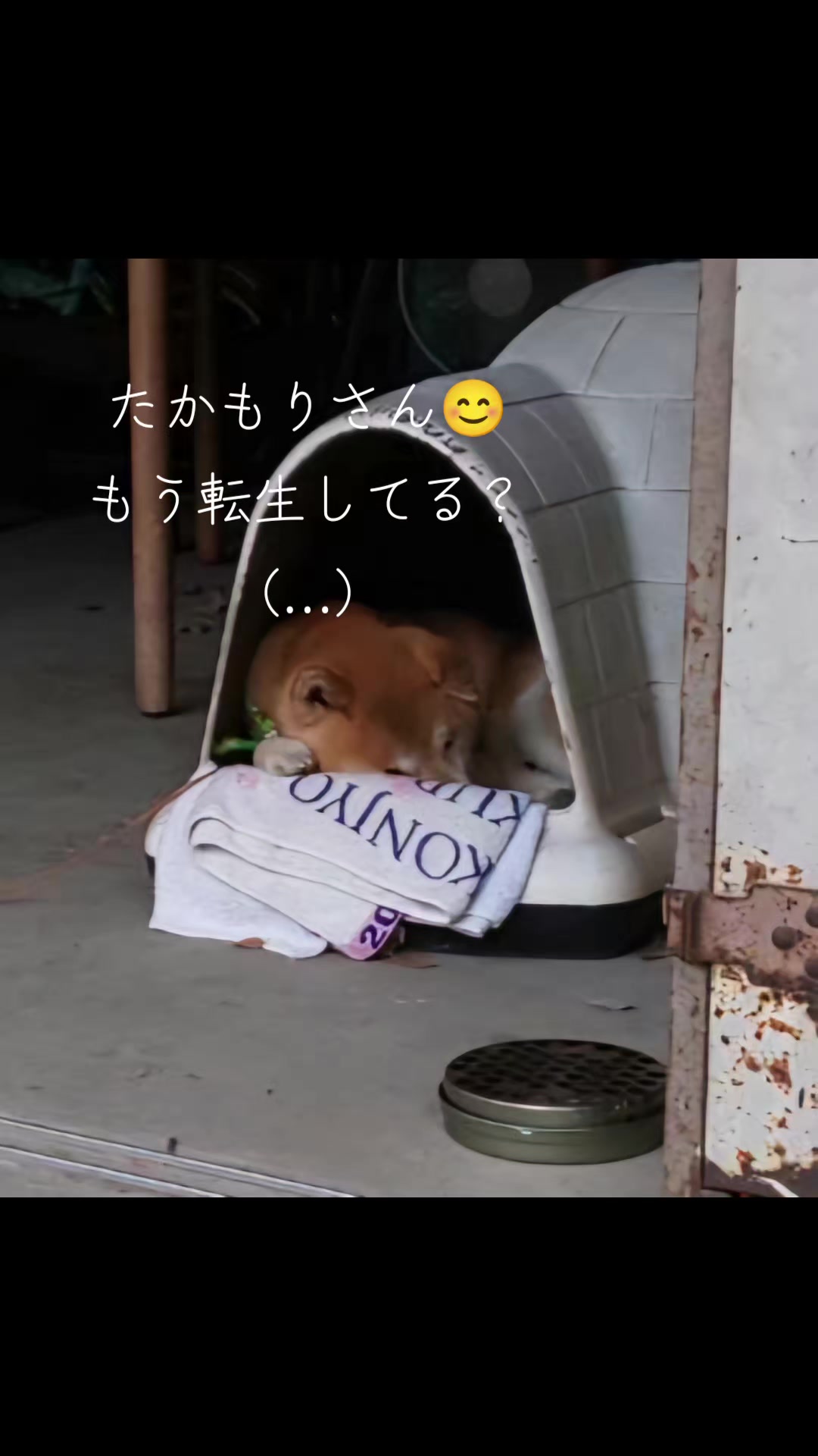 @チルチルみちる