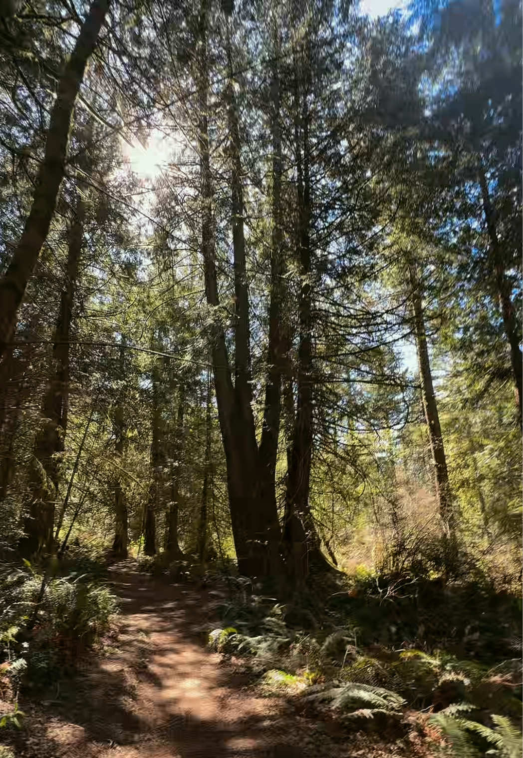 @Nature videos
