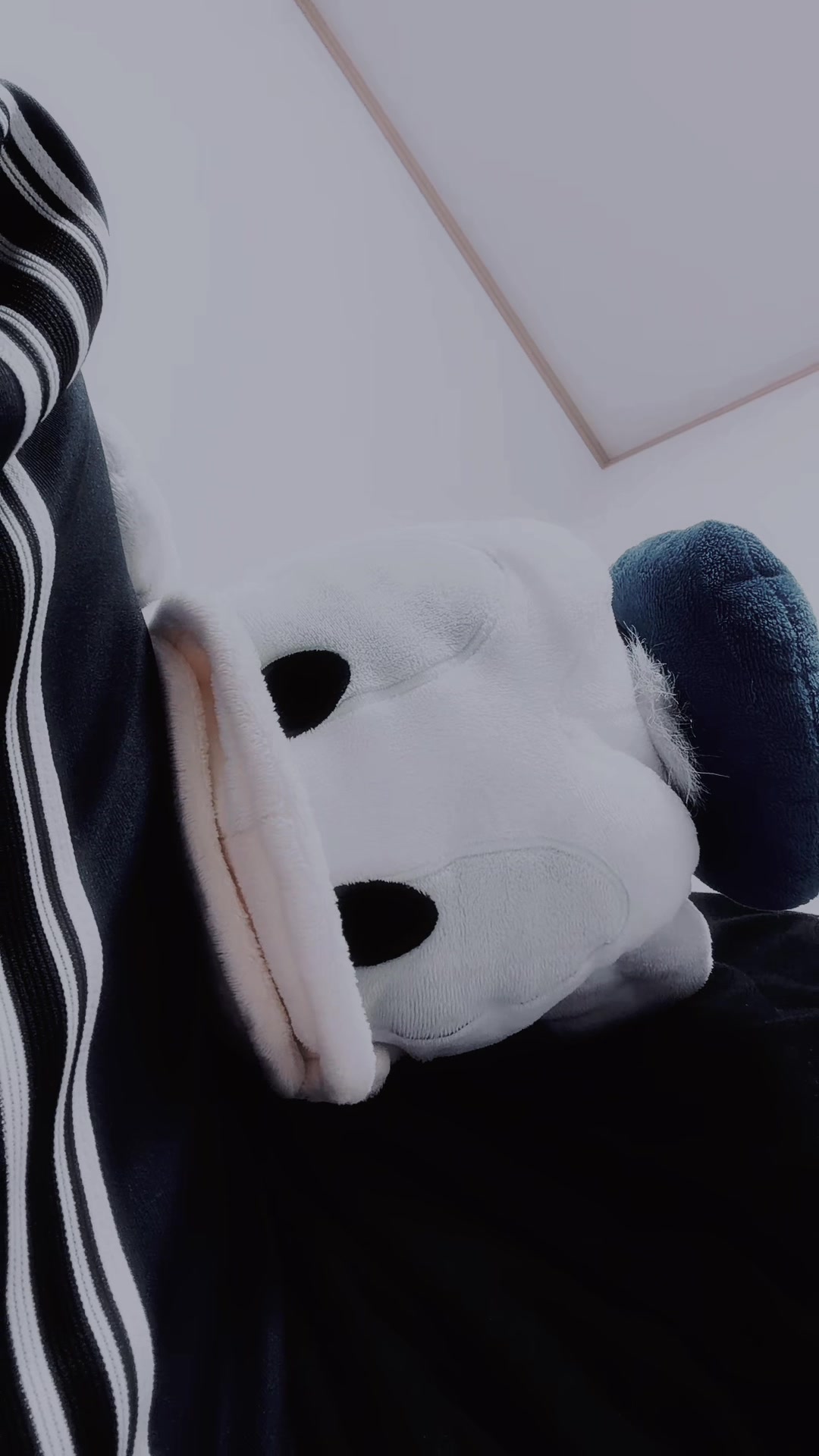 @無。