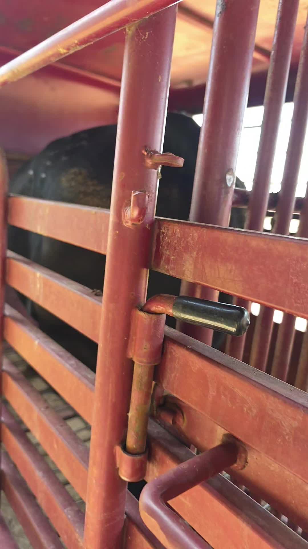 @countryboiroro