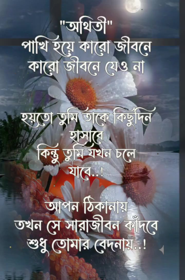 @user8123701182915. jan pakhi