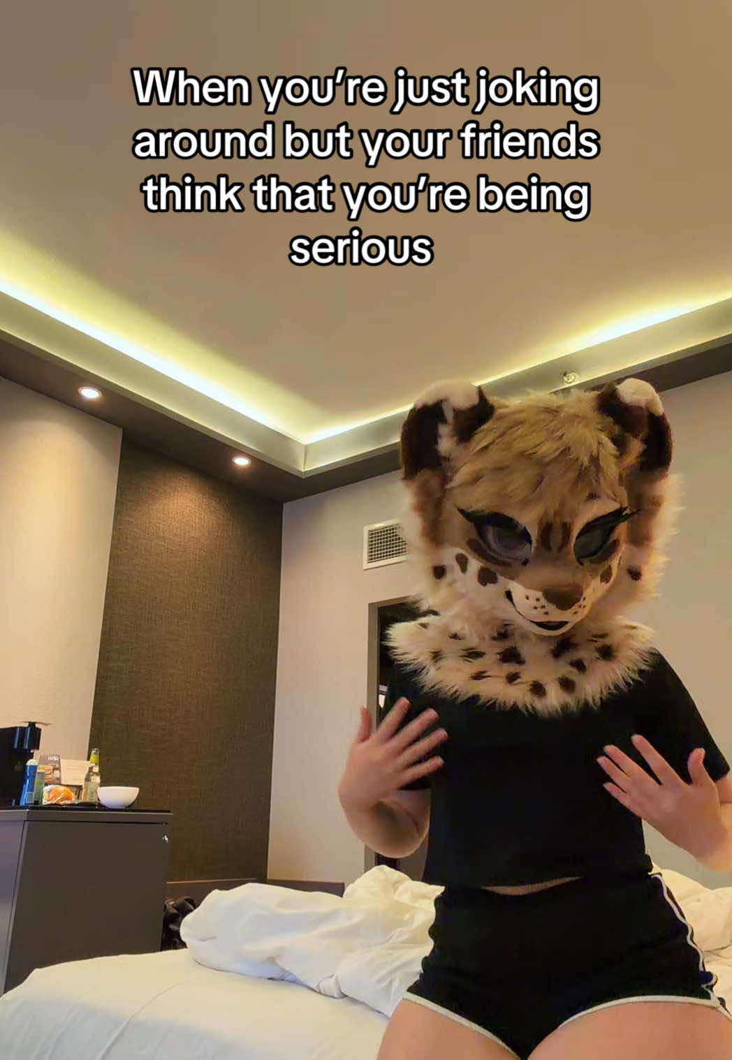 @Amyquel