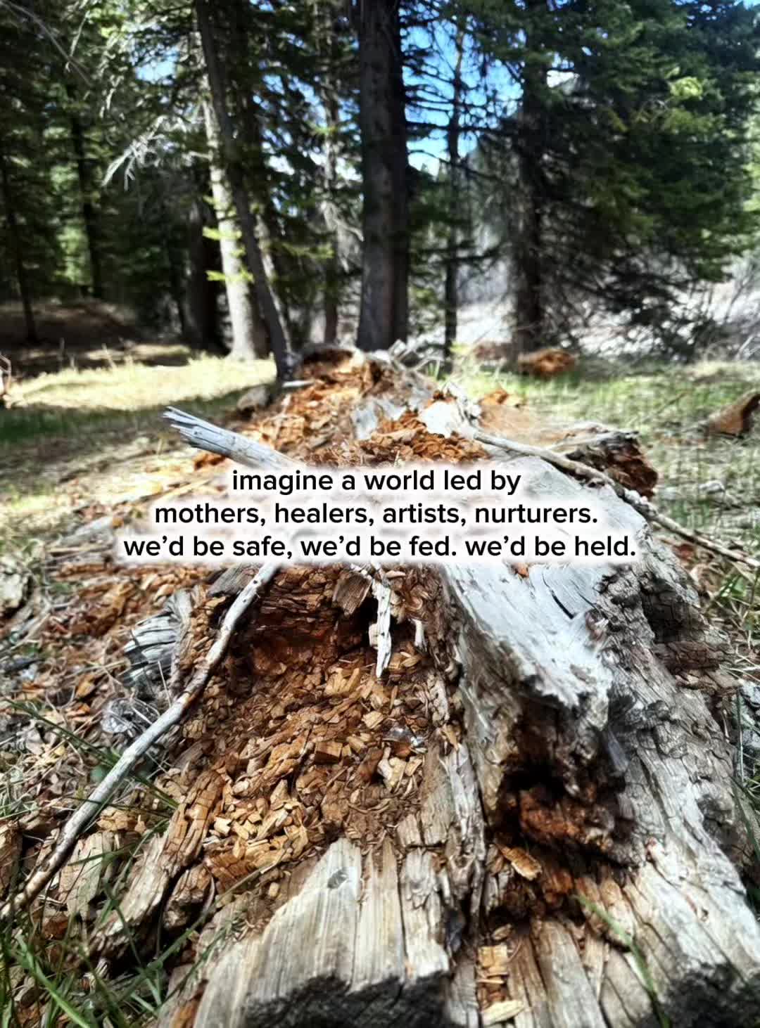 @Jasmin | A Rooted Life