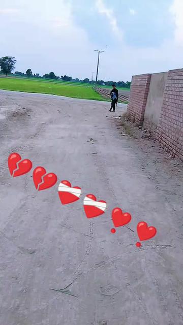@dilshad Zakhmi