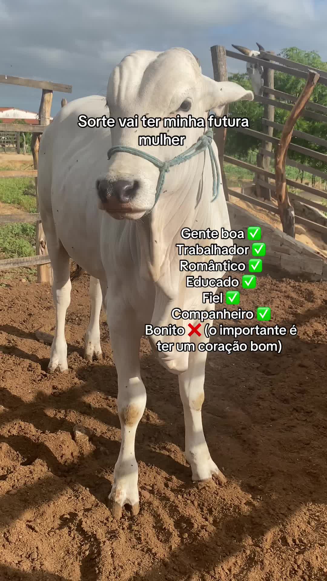 @Ferreira