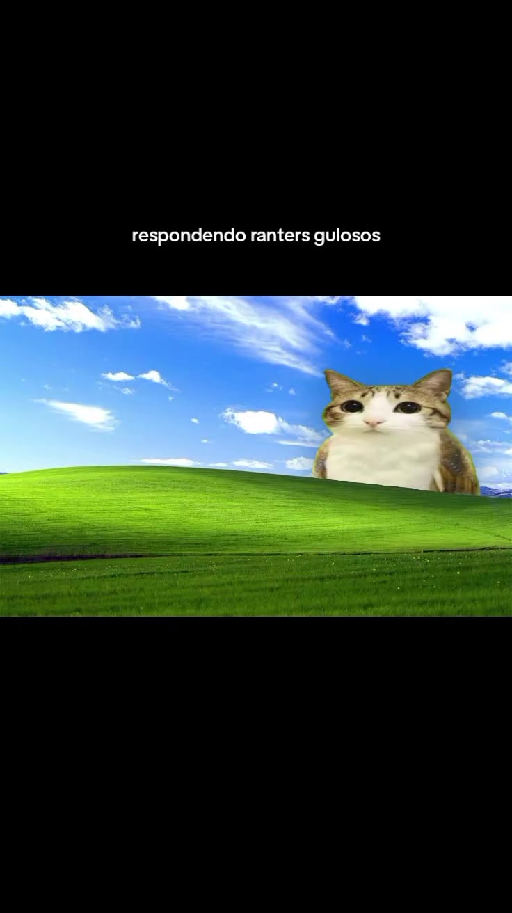 @{{🫪~diogo/KitEthereal~🍓🍪}}