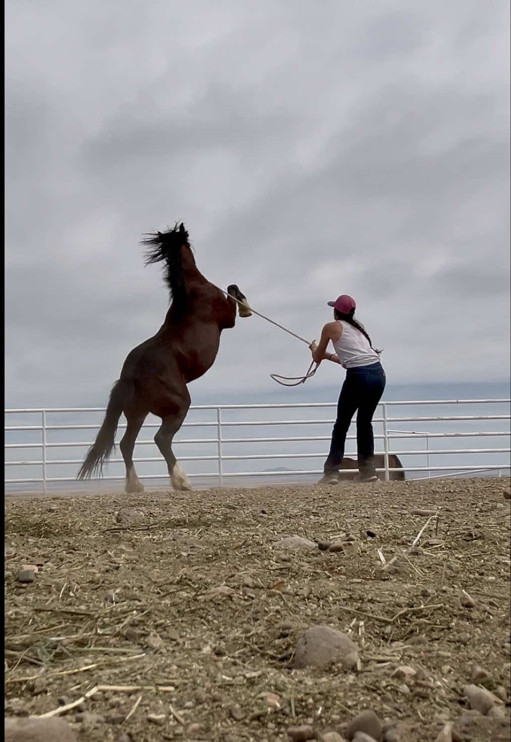 @cowgirlcommentary