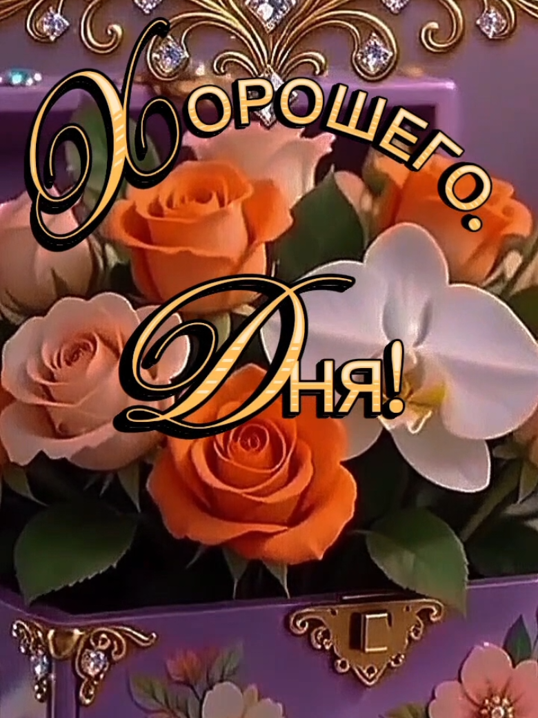 @꧁࿇♥𝓢𝓿𝓮𝓽𝓵𝓪𝓷𝓪꧁♥࿇꧂