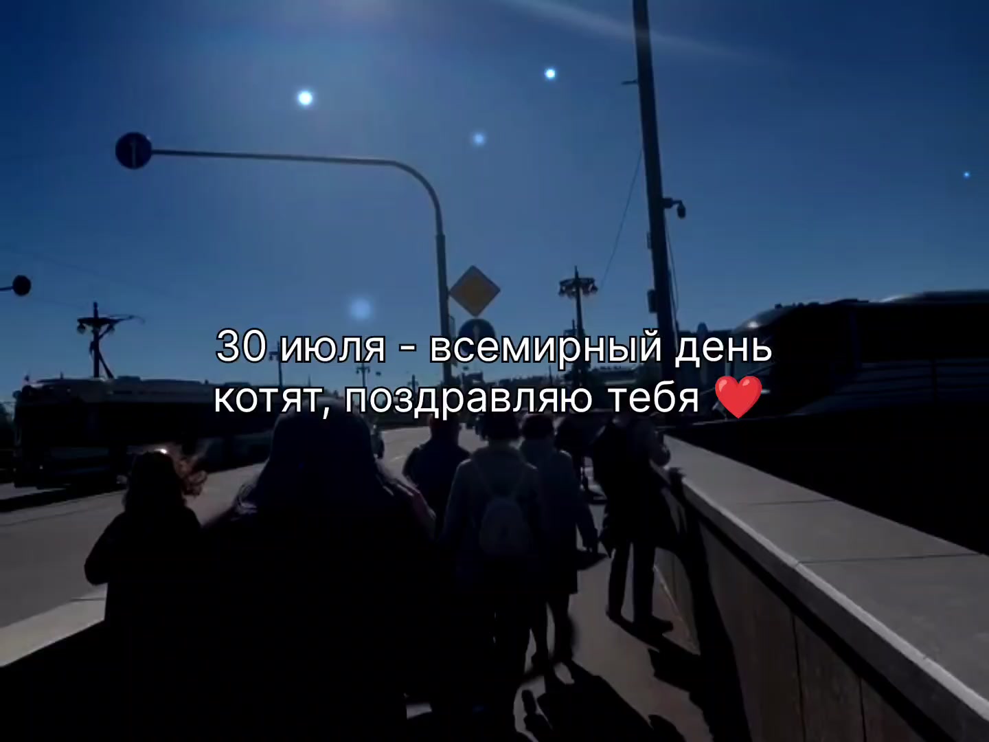 @ǫᴜᴏᴛᴇs ɪs ᴍʏ ʟɪꜰᴇ