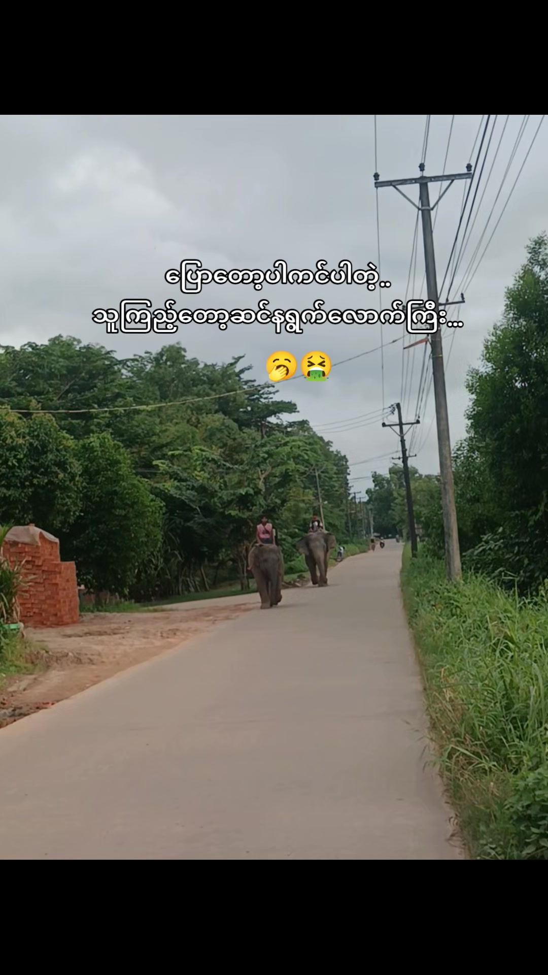 @do.ban.nar (ဒို.ဖန်.နာ)>ငတို✓