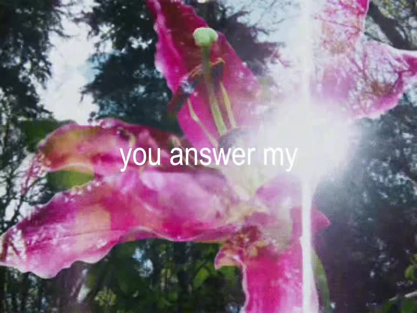 @˚୨୧⋆。˚ ⋆