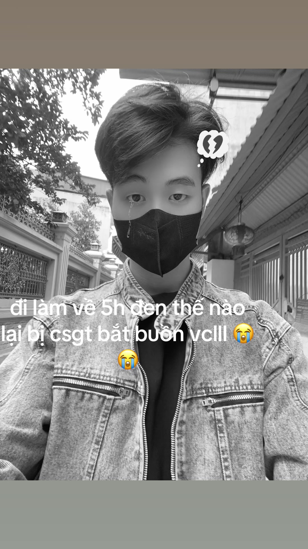 @tranh006