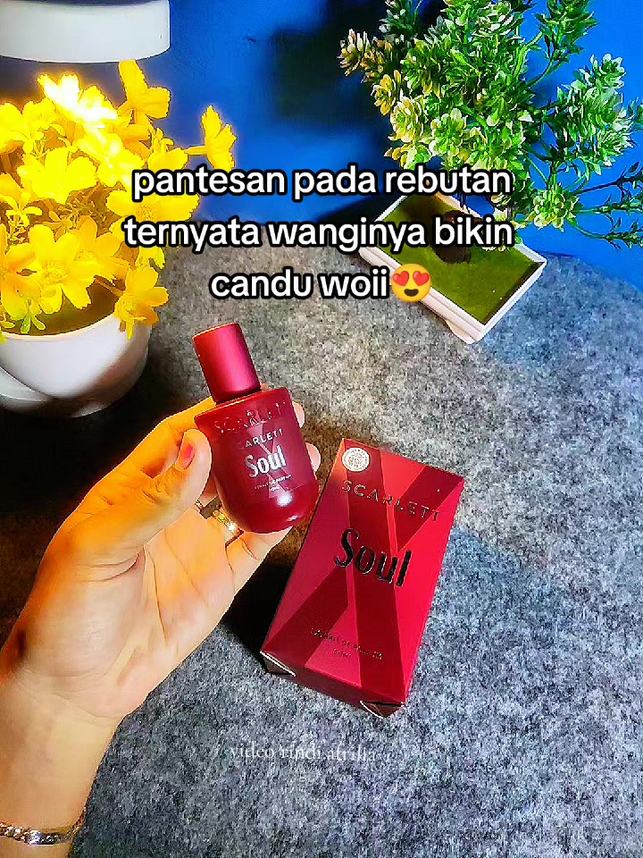 @Rindi Afrilia𝜗𝜚✨