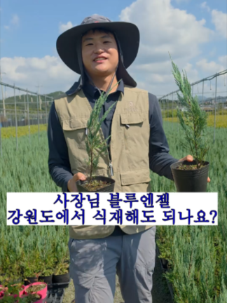 @농업회사법인 영호(주)