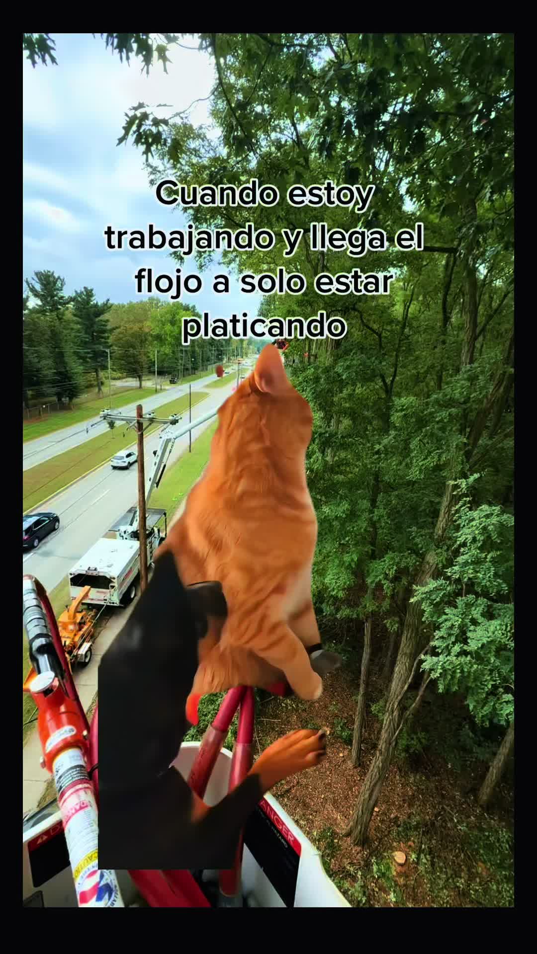 @botcito103