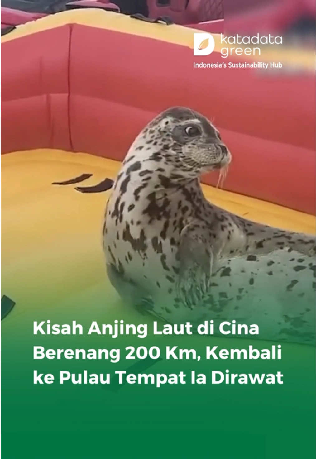 @katadata.co.id
