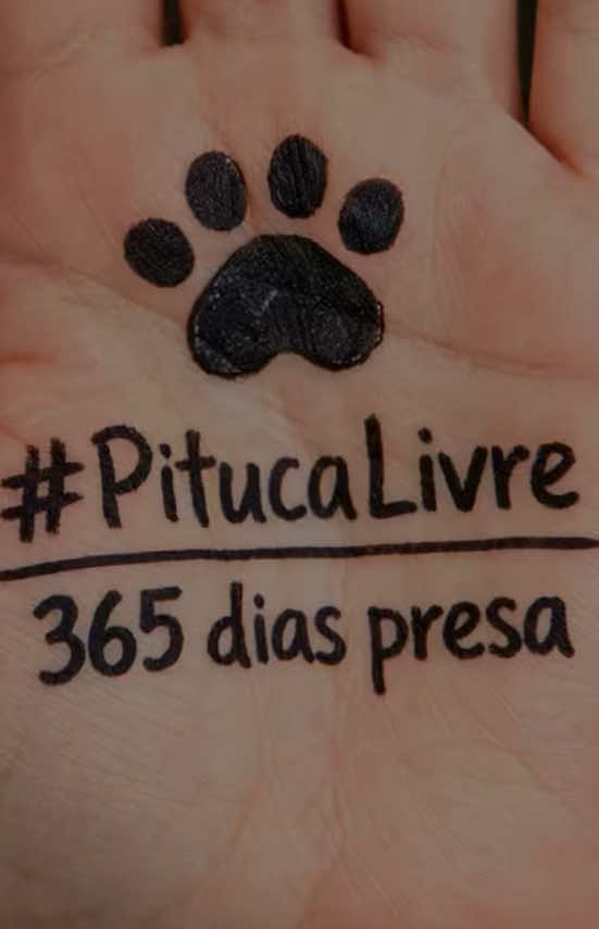 @Elisabete Silva