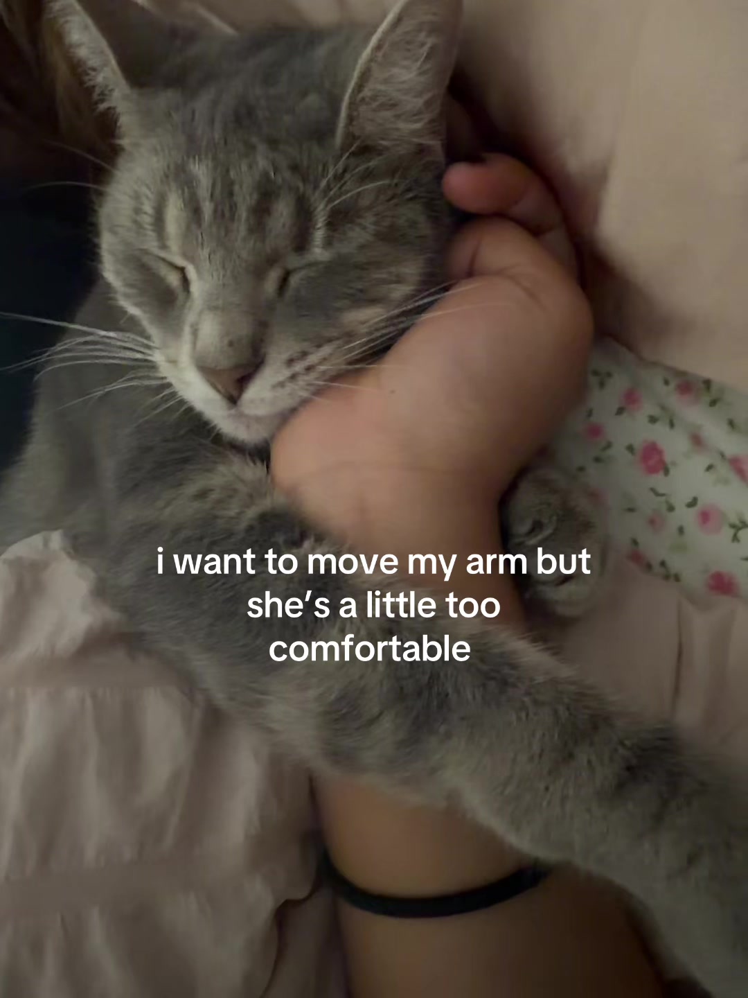 @𝒶𝓇𝒶𝓍𝒾𝑒