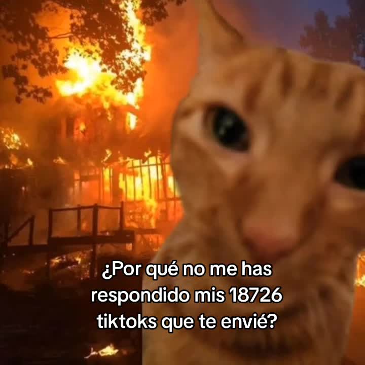 @goodvibessxd