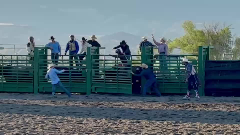 @B&G Bucking Bulls