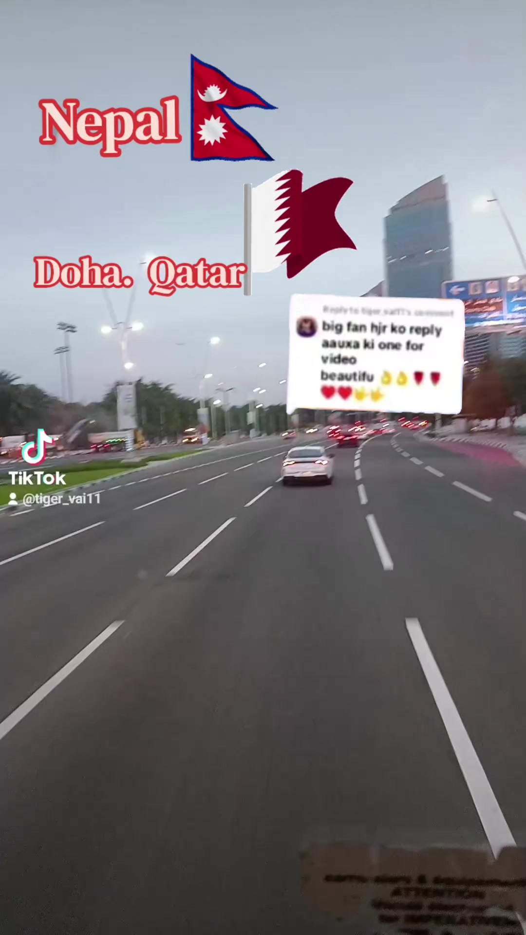 @tiger vai