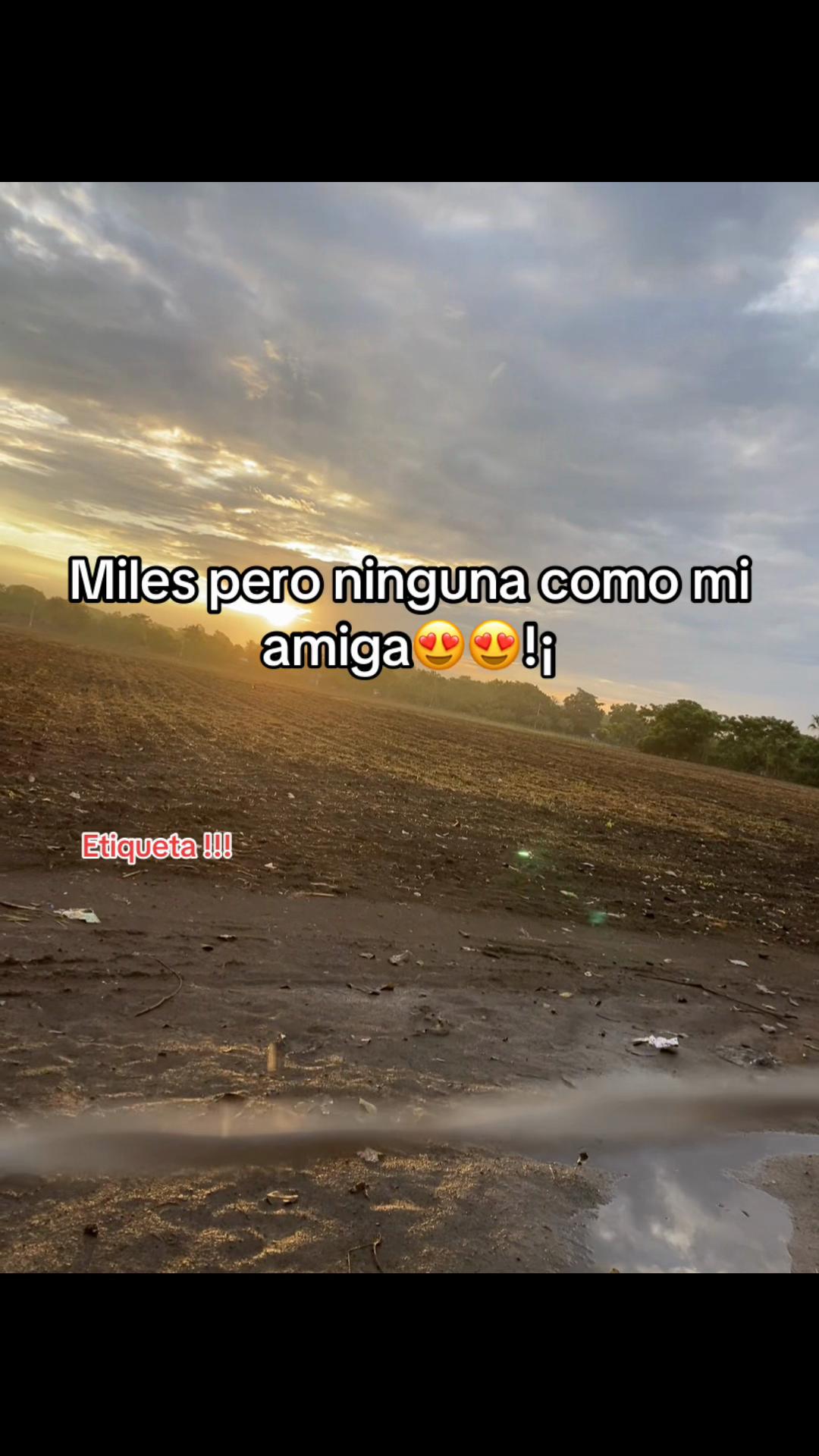 @Contenido🎯