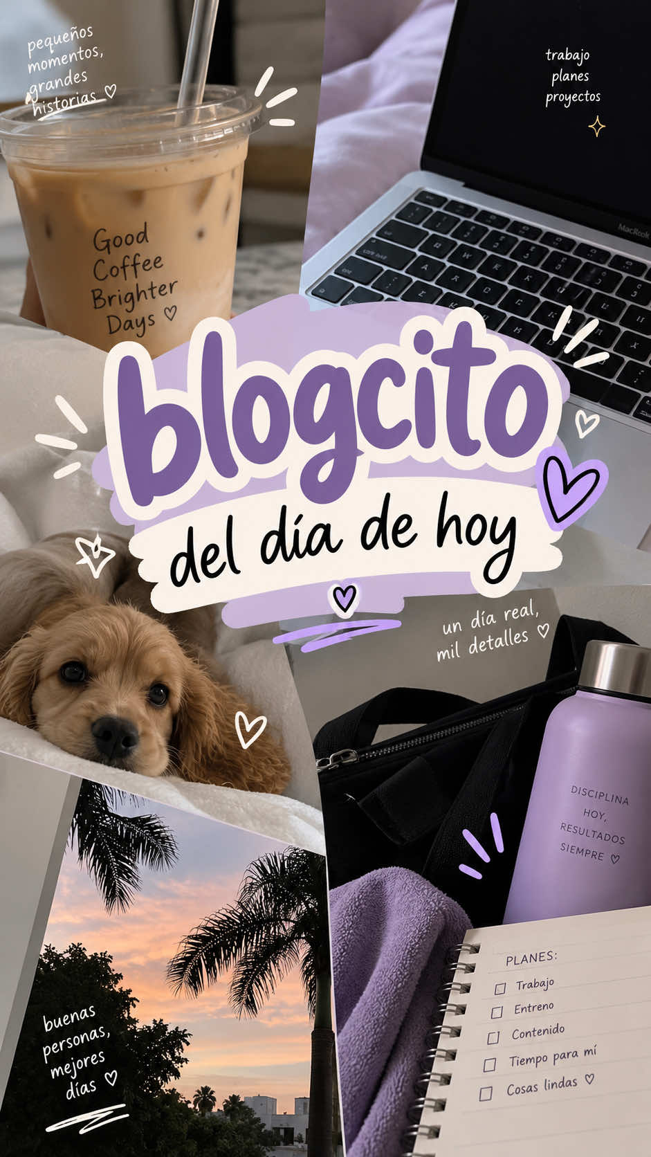@Paufloow