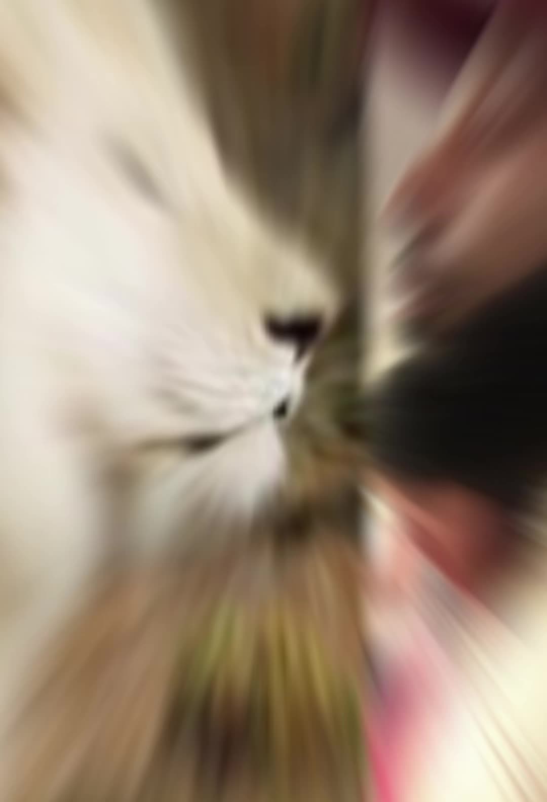 @Nonny