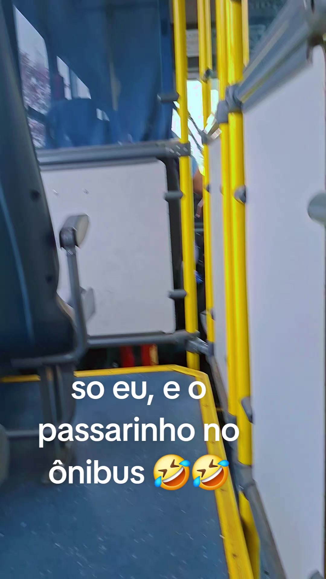 @Valéria Rocha