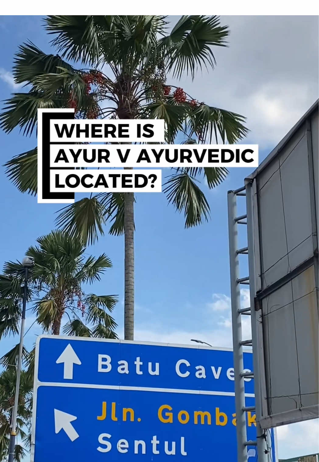 @Ayur-V Ayurvedic