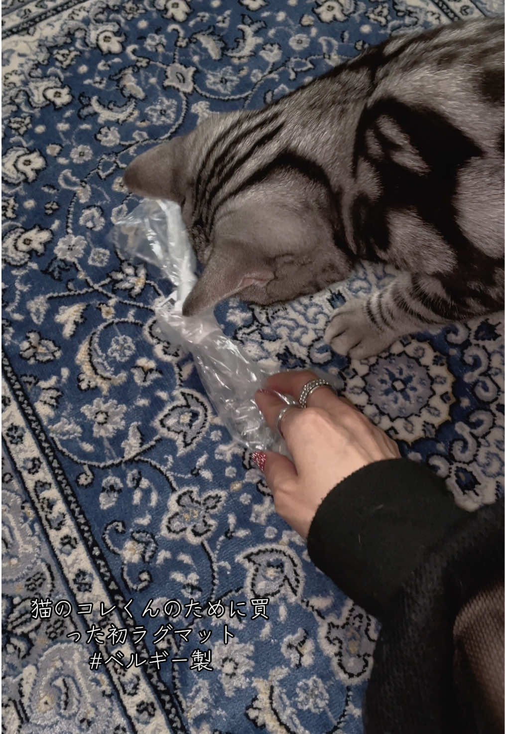 @è³ã¡ããð©·_ð©·