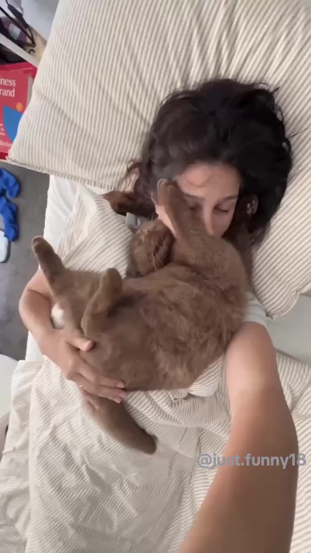 @Funny Animals😽🐶❤️