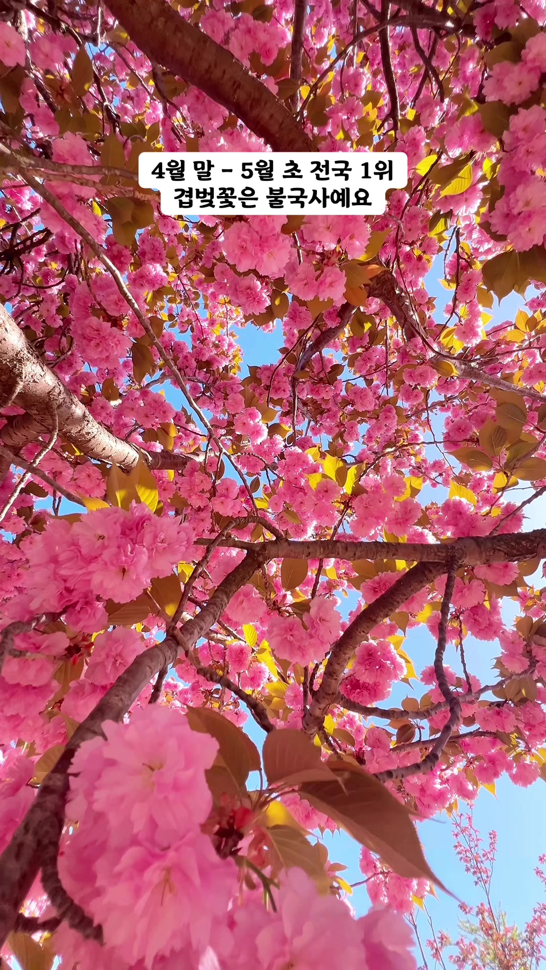@알록달록프레임