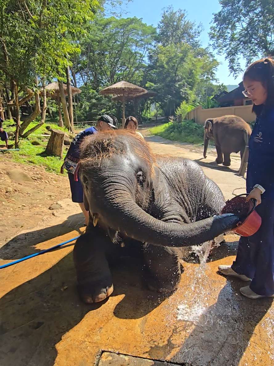 @ควาญแดง พลายภูพิงค์