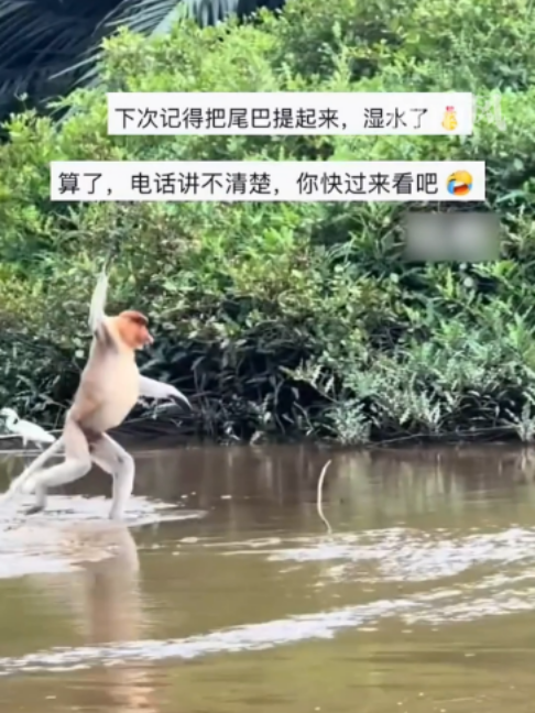 @闽南风~