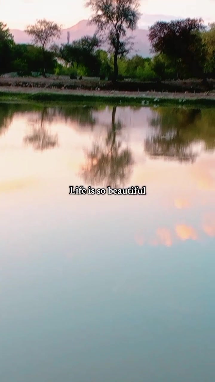 @Rafibangash123