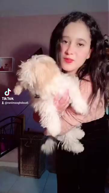 @RanimZaghdoudi