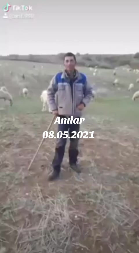 @Arif66