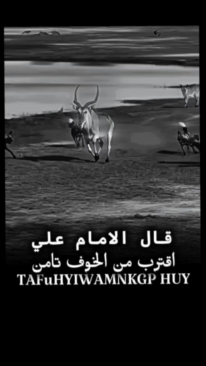 @الحساب للبيع