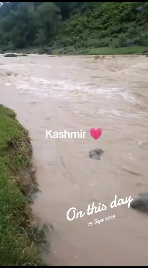 @kamrankashmirkamr