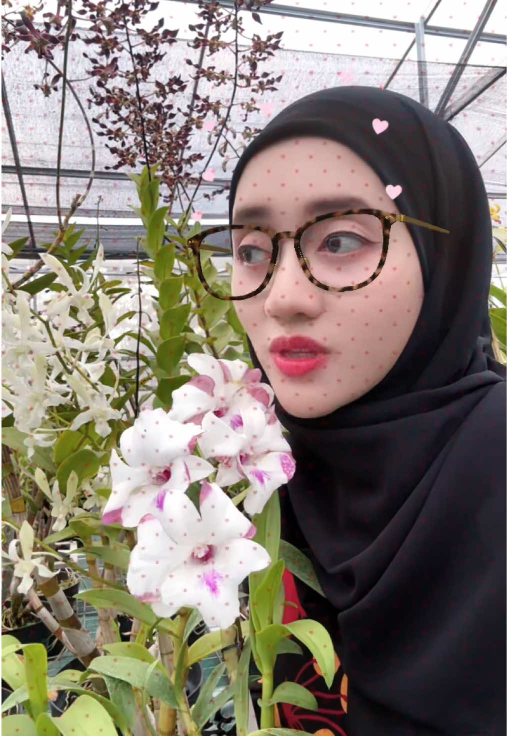 @Anggina Orchid
