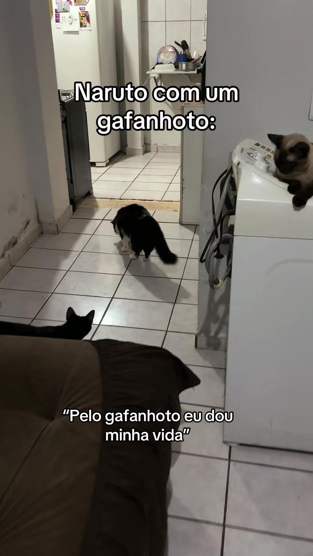 @Jéssica Teixeira