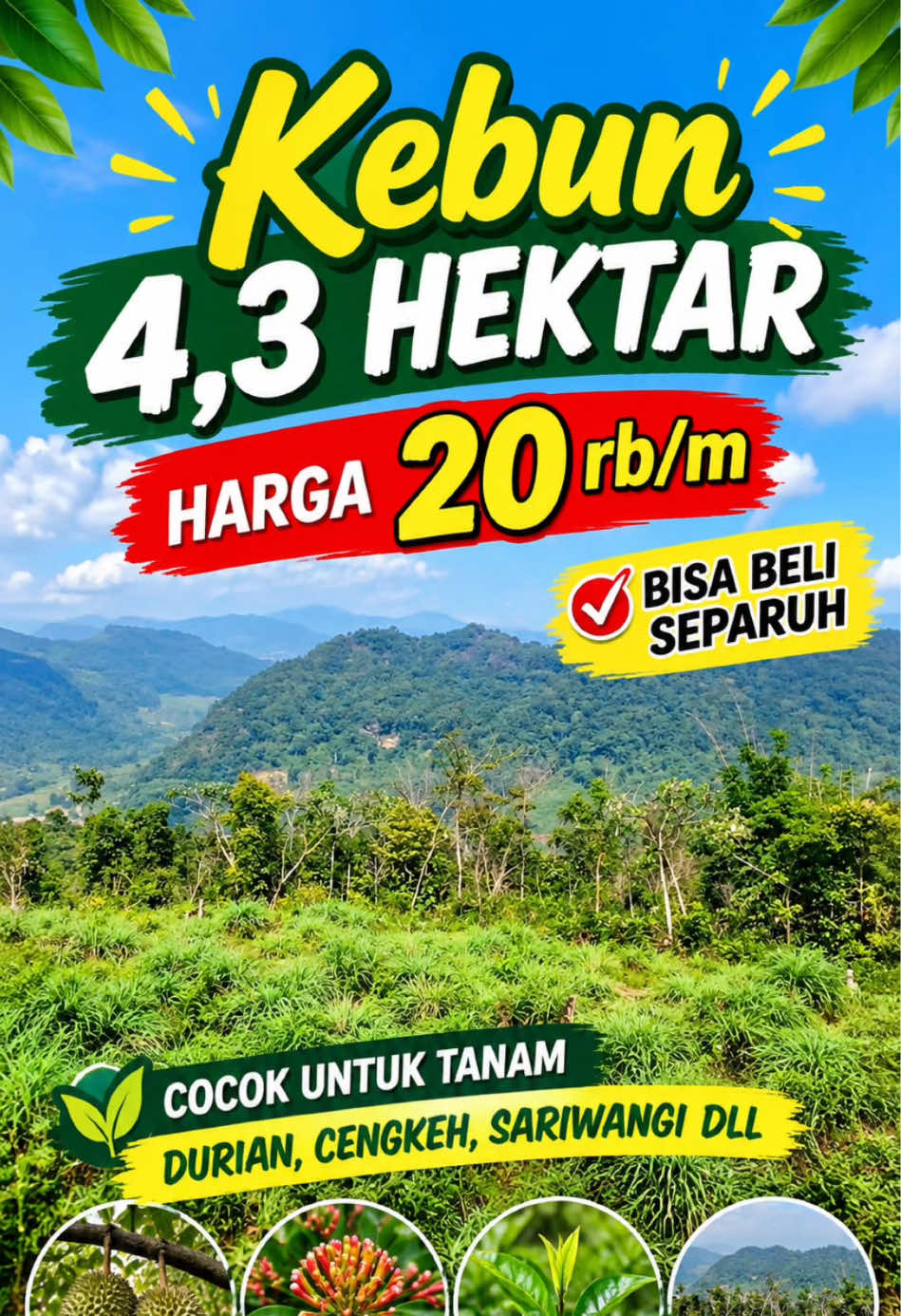 @Sumbar Property