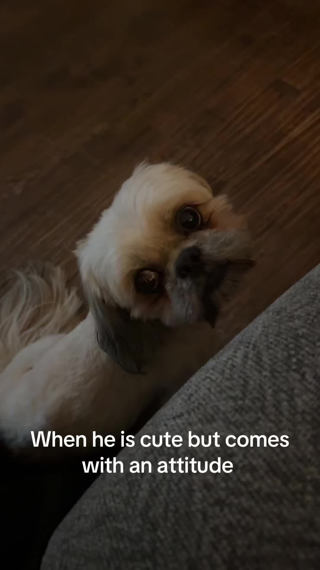 @AmandaOnTheGlow