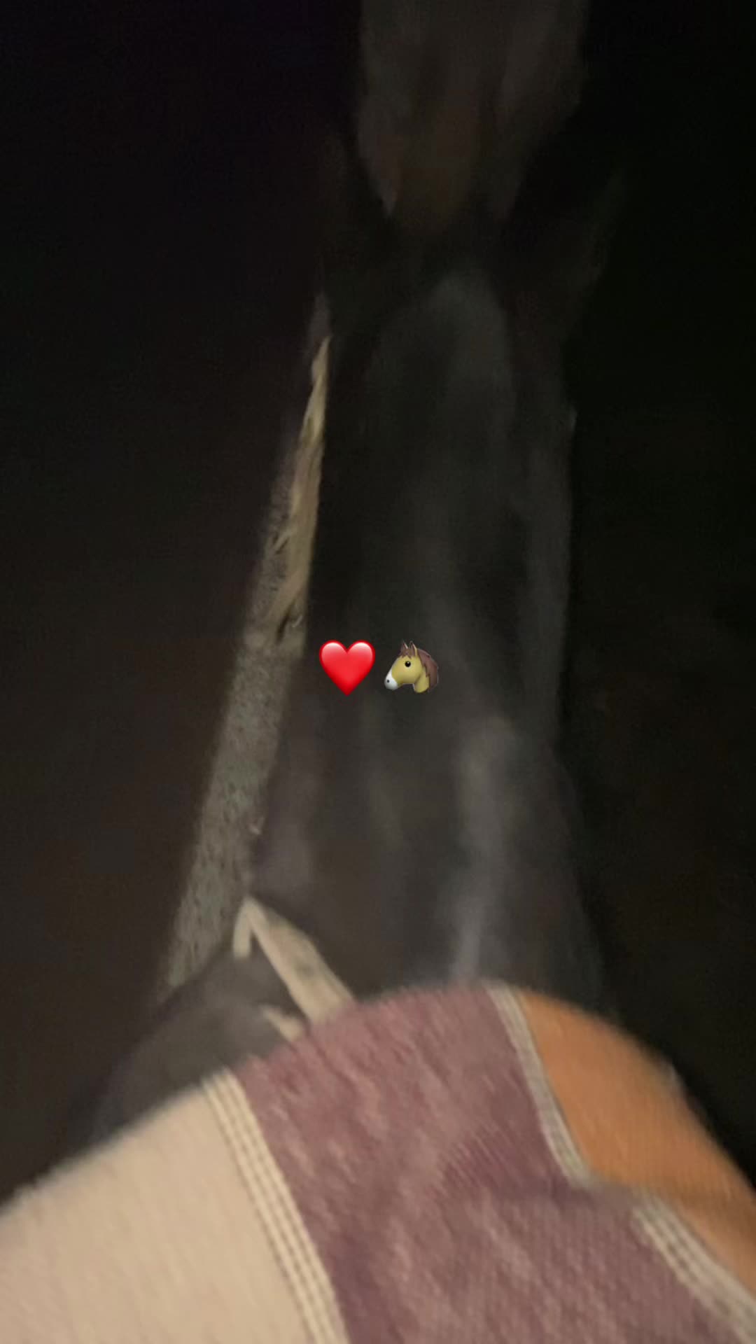 @krishna_aguilera17