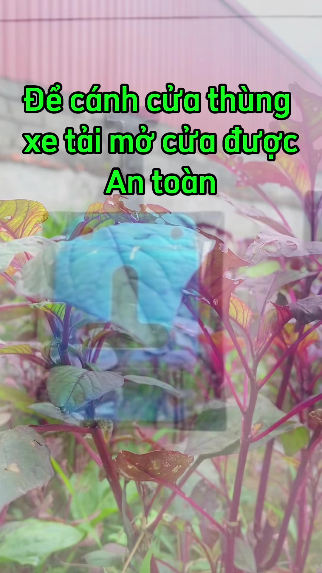 @Phụ kiện ô tô Hoàng Bách