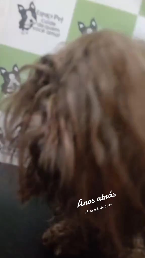 @MilaCardoso