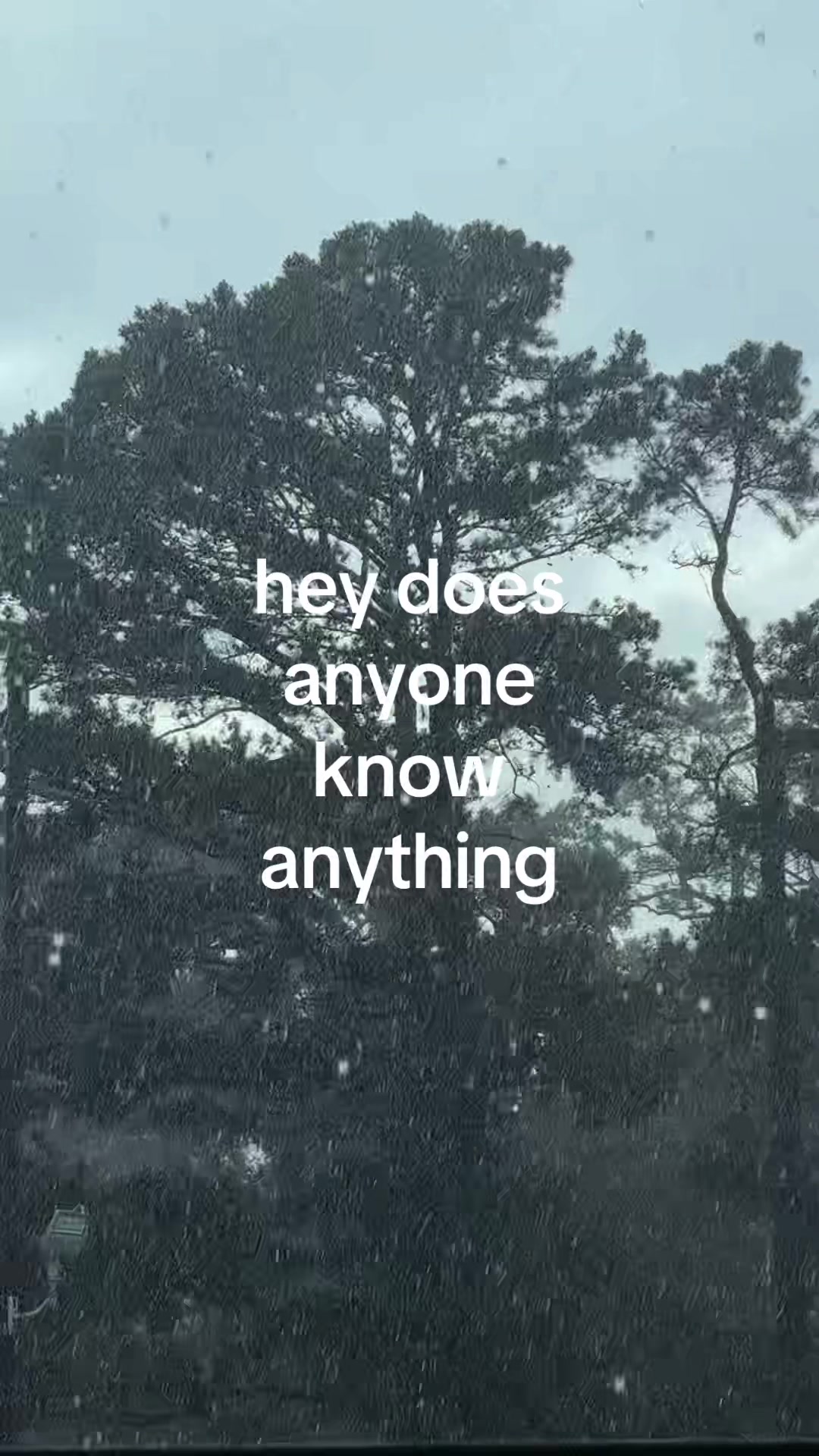 @claire