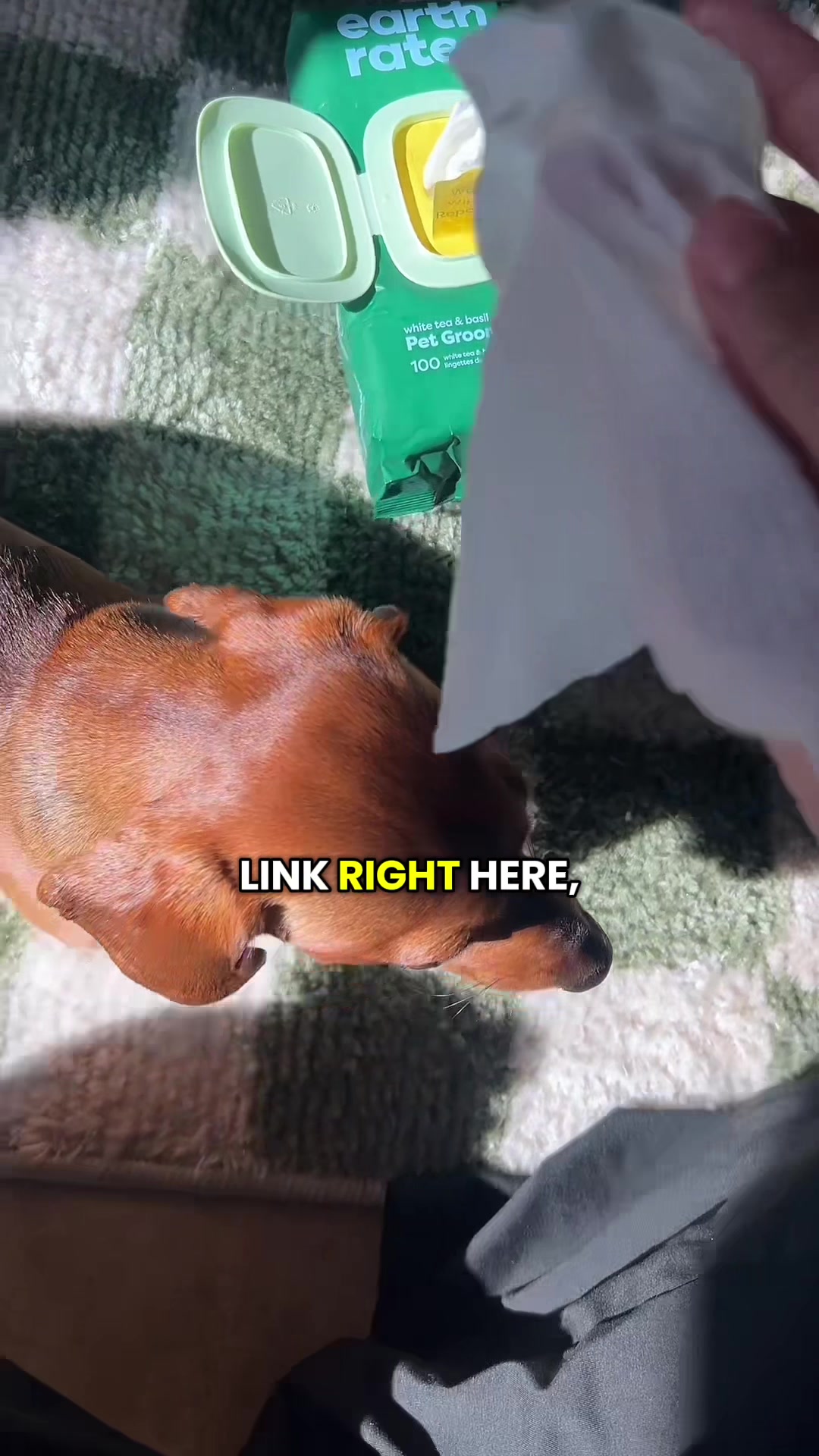 @Slinky Severus-Doo
