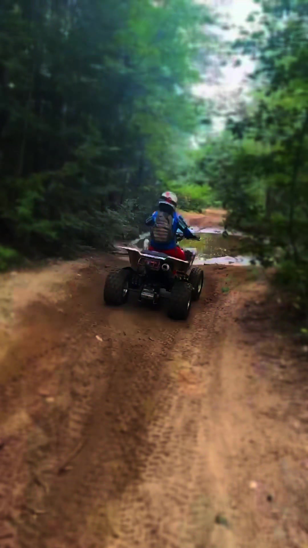 @🦍Zadiel/Ltz400🦍